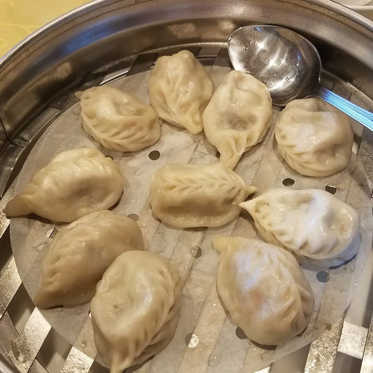 Vegetarian Steamed Dumplings 素蒸餃
